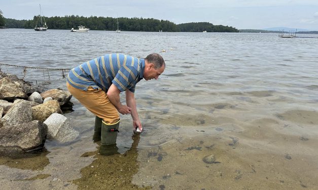 Bacteria season: Why swimming in lakes and rivers can trigger a range of health conditions