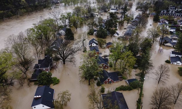 Trump abandons Americans leaving them stranded, helpless, and terrorized after natural disasters