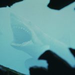 Jaws at 50: Trivia from the shark movie that made generations of swimmers afraid of the water