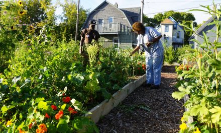 Milwaukee’s Urban Farming: How a Rust Belt City cultivated a grassroots idea into a national model