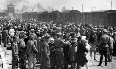 Holocaust survivors still seek atonement from railway companies for their role in Nazi deportations