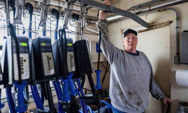 Wisconsin dairy farmer files lawsuit claiming Trump is failing to stop discrimination against White farmers