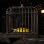 Dead canaries: A restructured Justice Department gives Trump unchecked authority to act with impunity