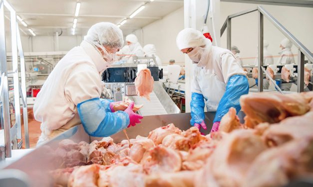 Cost of bacon: Once essential workers in meatpacking during COVID pandemic now face forced deportation