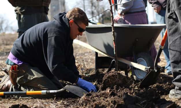 Victory Garden Initiative Celebrates Urban Orchards