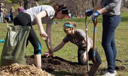 Victory Garden Initiative to train next wave of community leaders