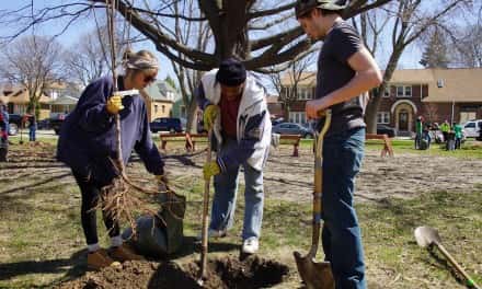 Victory Garden Initiative spreads edible abundance with annual orchard contest