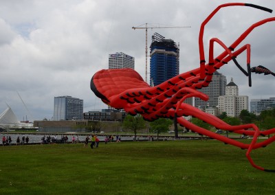 052816_KiteFest_0313