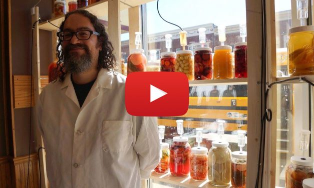 Video: Farms and Fermentation