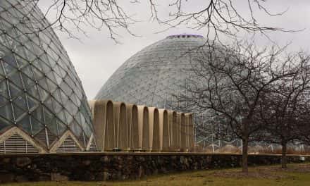 Open Letter on Domes status from Park Director