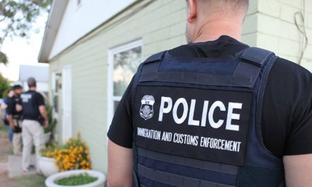 PSA: Immigration raids and your legal rights