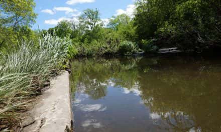 Milwaukee’s Harbor District awarded first-ever “Trash Free Waters” grant for Kinnickinnic River clean up