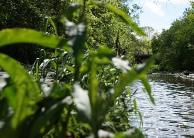 052117_kinnickinnicriverwalk_1057