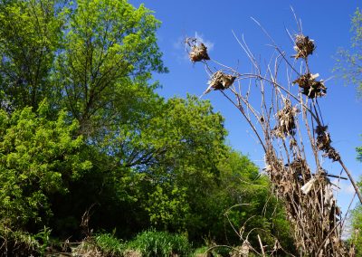 052117_kinnickinnicriverwalk_1465