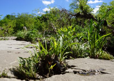 052117_kinnickinnicriverwalk_1547