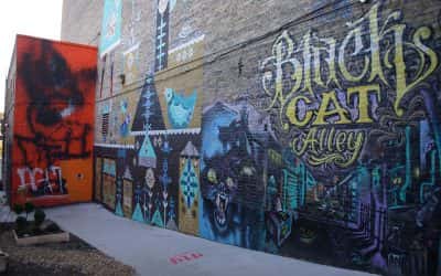 New public art installation coming to Black Cat Alley in April