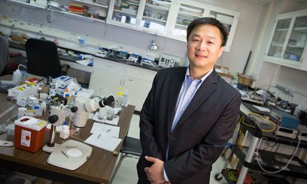 Junhong Chen: Making a global impact with local research