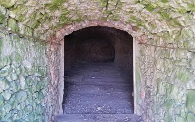 Hidden beer cave from the 1840s still survives today