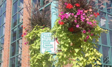 “Color the Square” initiative to raise funds for floral facelift of Cathedral Square