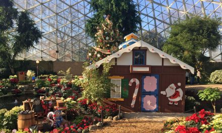 Kooky Cooky House at Mitchell Park Domes this year due Discovery World expansion