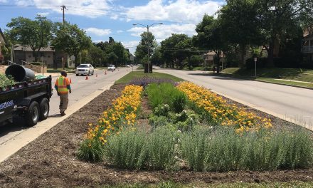 City of Milwaukee and Walnut Way partner on green infrastructure projects for sustainable communities