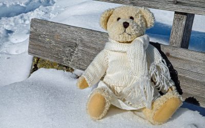 Animals hibernate in winter, people should not