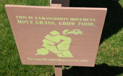 Victory Garden Initiative sees fruits of its community mission with Farmhouse expansion