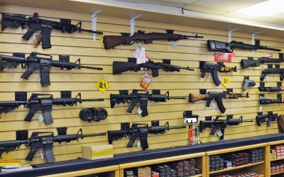 Ruling by Wisconsin appeals court reinstates lawsuit against online gun dealer