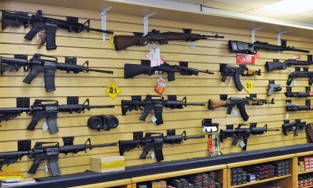 Ruling by Wisconsin appeals court reinstates lawsuit against online gun dealer