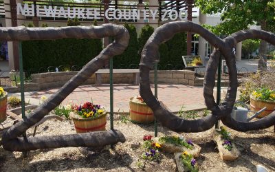 $25M capital campaign plans to transform Milwaukee County Zoo over the next 25 years