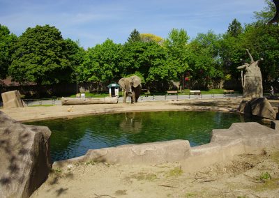 052418_zoobeasties_0550