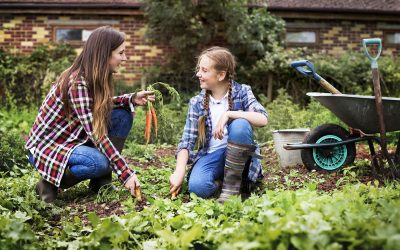 City to offer garden soil screening service for lead to Milwaukee homeowners