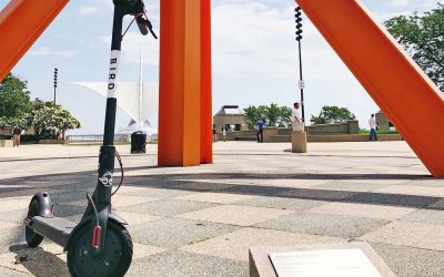 Bird faces lawsuit in Milwaukee over rental scooters the City Attorney says are illegal