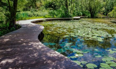 Schlitz Audubon raises $500K for stormwater management of Nature Center’s wetlands