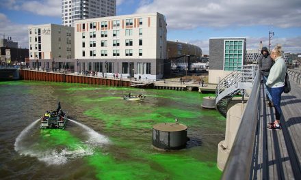 Fear the Deer: Milwaukee paints the town green to celebrate Bucks NBA playoffs