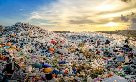 Environmental contamination pushes cities to cut plastic waste within a decade
