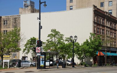 Gateway mural by Emma Daisy Gertel will blossom in Westown this summer