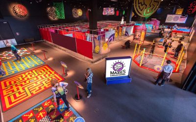 Discovery World constructs mind-boggling puzzles in new exhibit with mazes and brain games