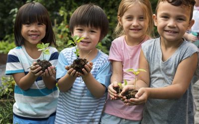 Teens Grow Greens partners with Outpost Natural Foods to launch MyPlant for Kids program