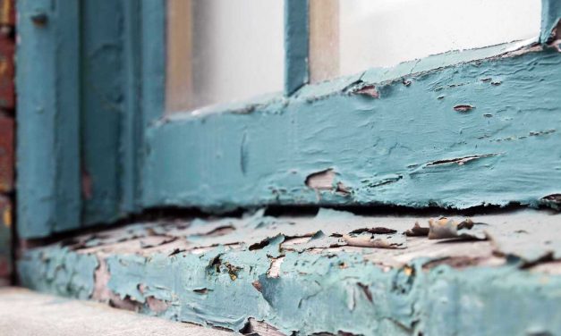 Toxins Among Us: The danger and damage from exposure to lead