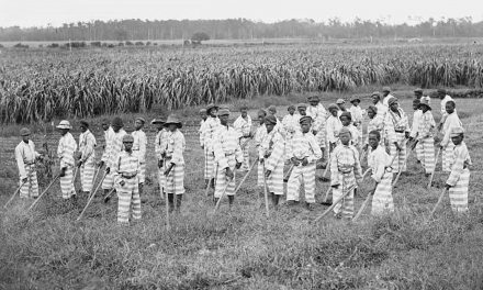 Anti-Immigration policies driving convict farm labor to levels not seen since Jim Crow era