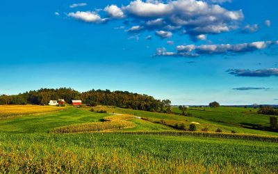 Casualties of Trump’s Trade War: China tariffs push Wisconsin farmers to brink of financial ruin