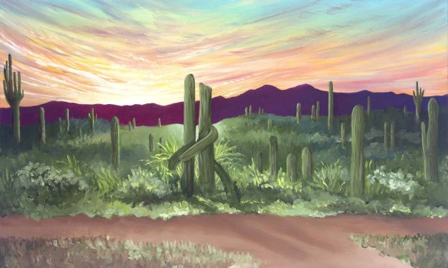 Rise and Thrive: A “Lives in Landscape” Series – Saguaro