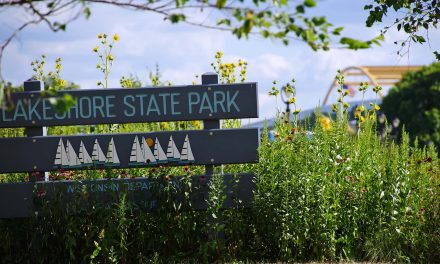 Wisconsin DNR closes state parks indefinitely due to overcrowding and vandalism during pandemic