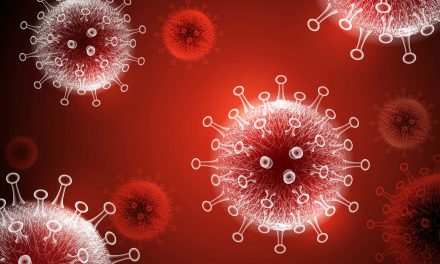 COVID-19 Infographic: A virus that has shaken the foundations of our world