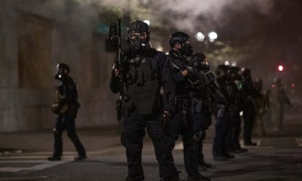 From Portland to Kenosha: ACLU records law enforcement violence against peaceful protestors
