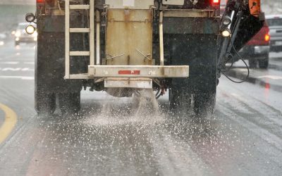 An alternative to road salt: Scientists explore nontoxic de-icing options extracted from aquatic life