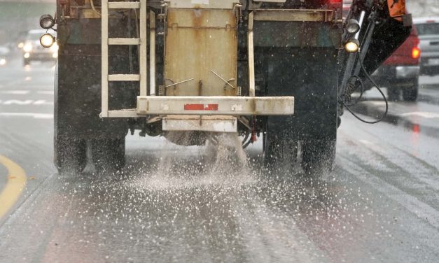 An alternative to road salt: Scientists explore nontoxic de-icing options extracted from aquatic life