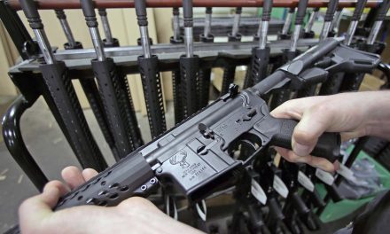 Gun Show Loophole: County officials oppose proposal that puts Milwaukee County in the firearms business