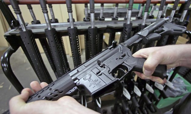 Gun Show Loophole: County officials oppose proposal that puts Milwaukee County in the firearms business